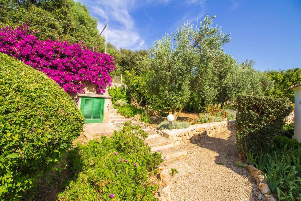 Preciosa Villa Tipica Mallorquina Con Wifi Y A/C Pollensa Zewnętrze zdjęcie